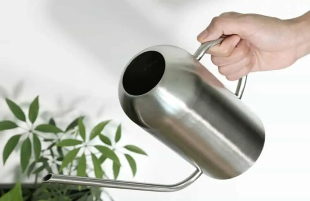 Watering Can